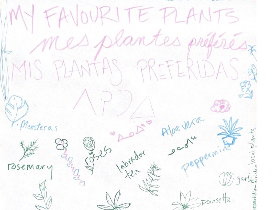 plants-copy